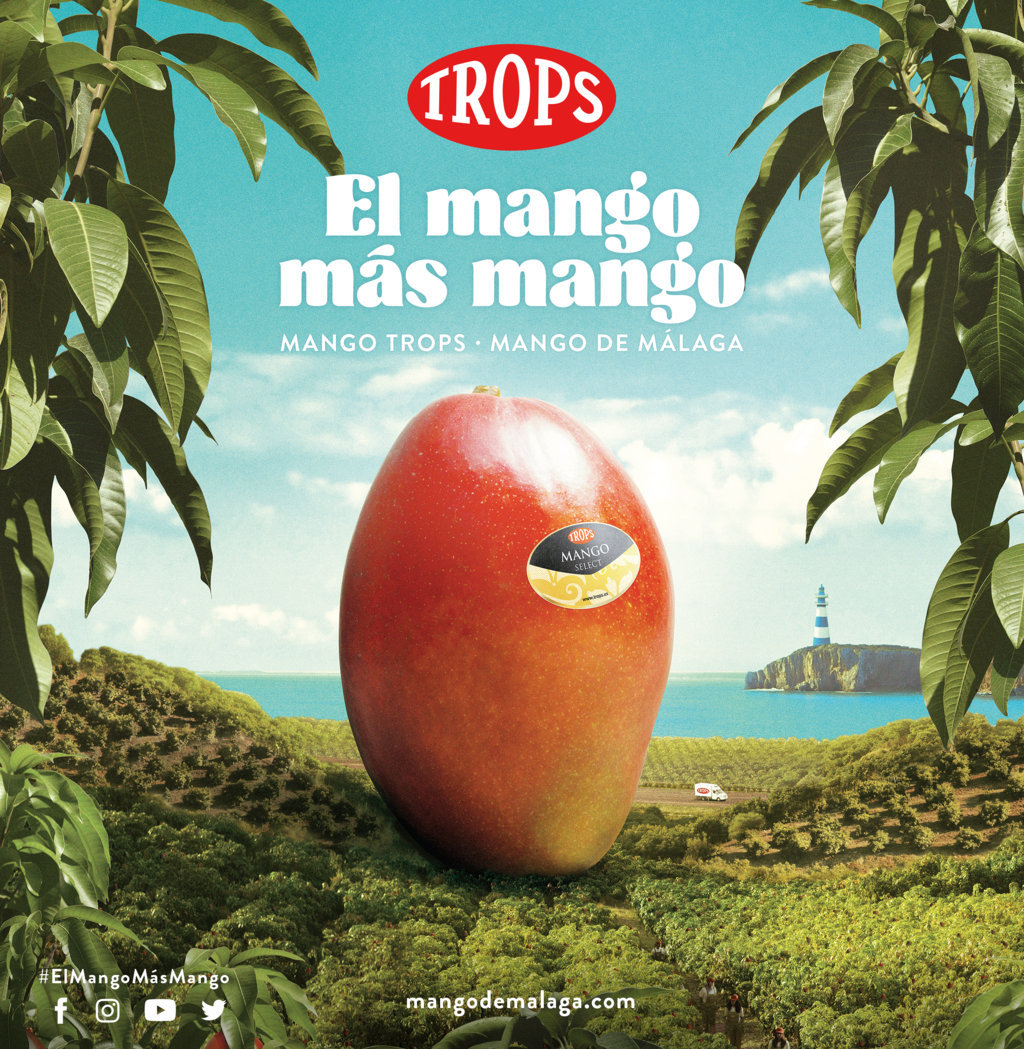 Comienza La Temporada De Trops El Mango Más Mango Origen 2506