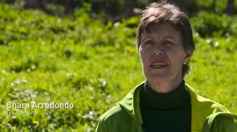 Charo Arredondo, ganadera: “No cambiaría por nada mi modo de vida en el  Valle de Soba” - ORIGEN